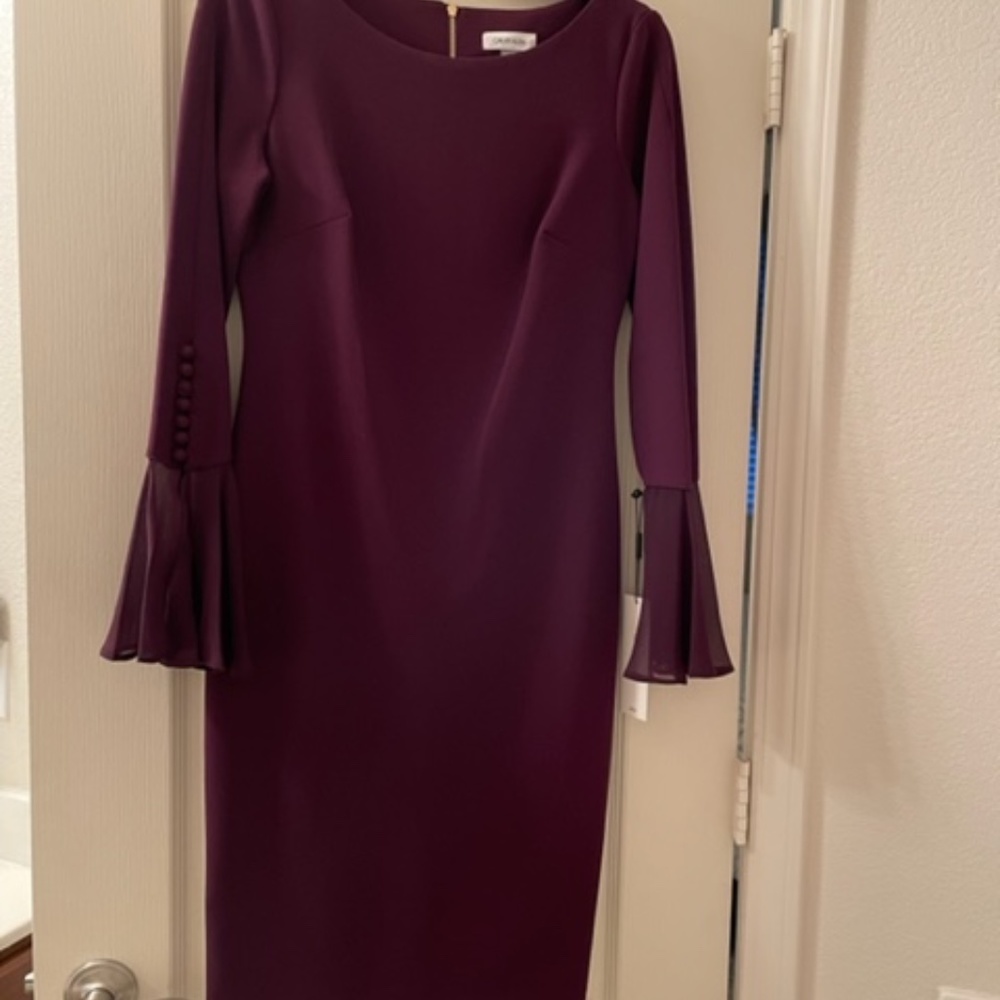 Calvin Klein Chiffon Long Sheer Bell Sleeve Sheath Dress